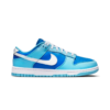Nike Dunk Low Argon