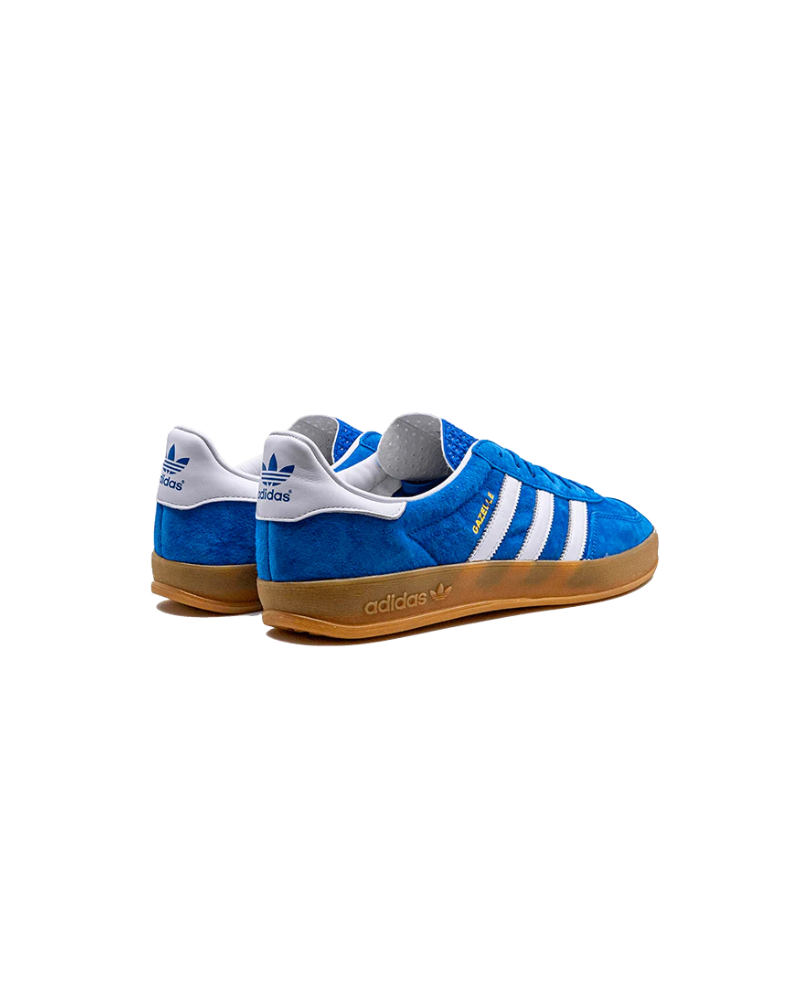 Adidas Gazelle Indoor Blue Bird Gum
